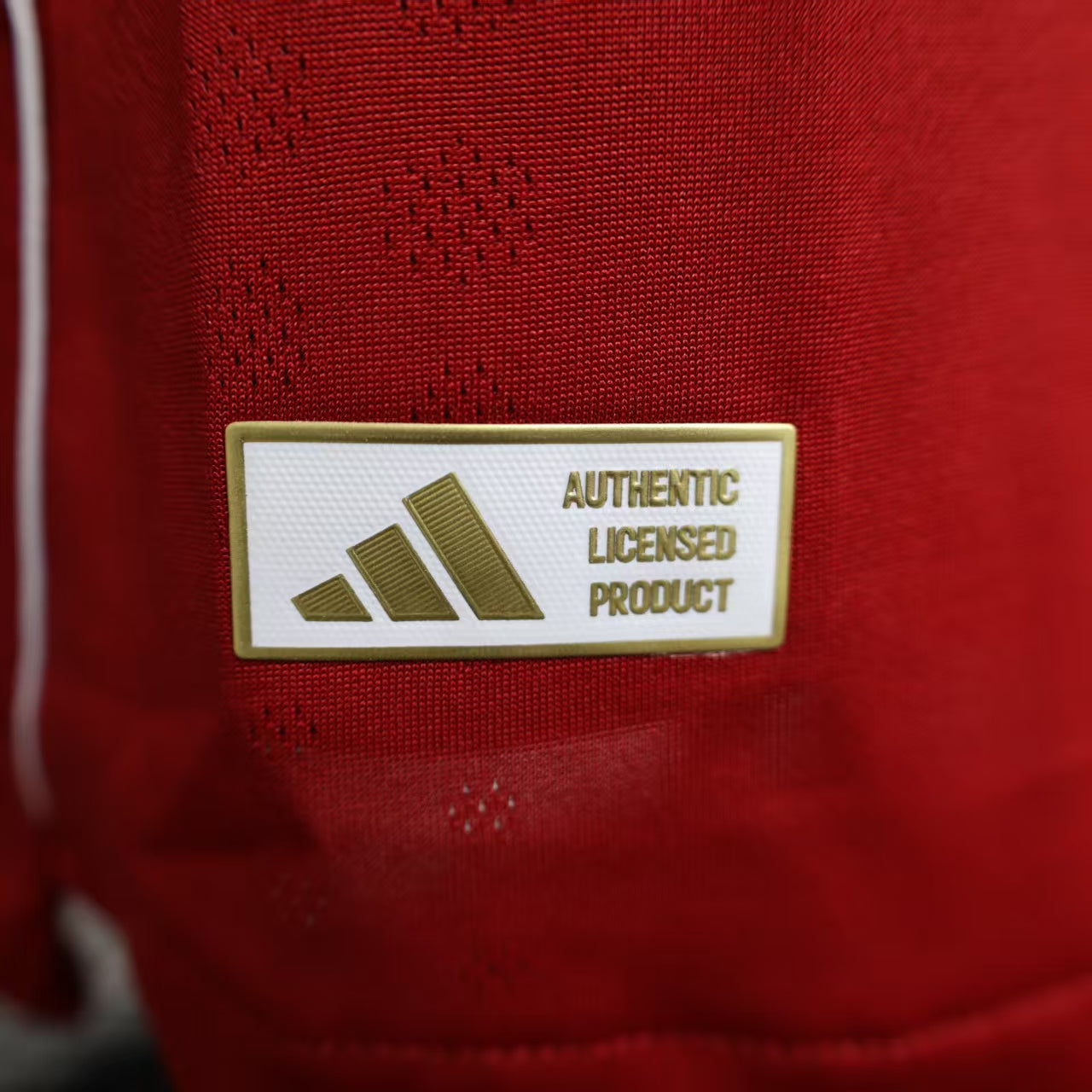 Liverpool FC 2025/26 Men's Home Player Long-Sleeve Soccer Jersey