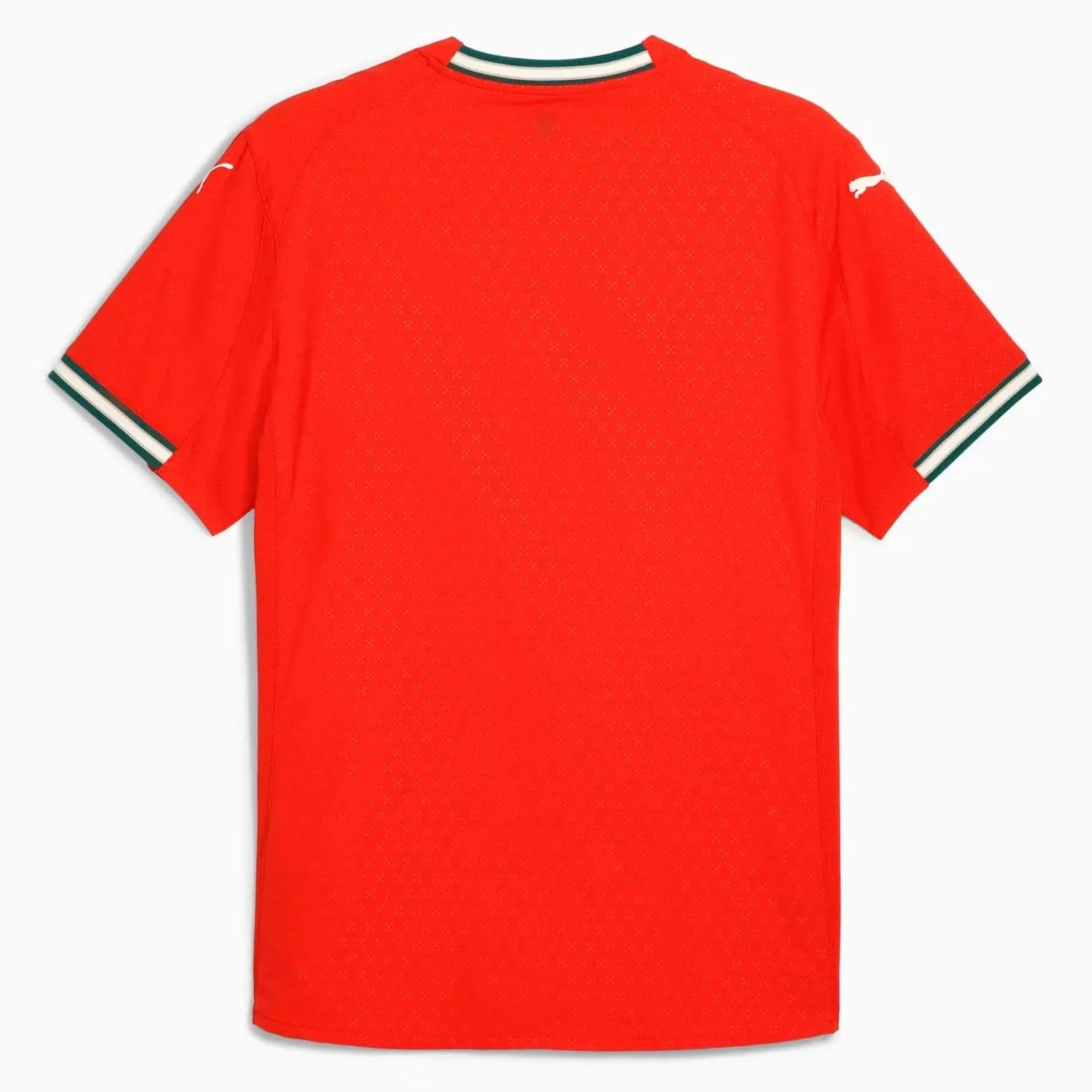 2025 Portugal Home Player Jersey