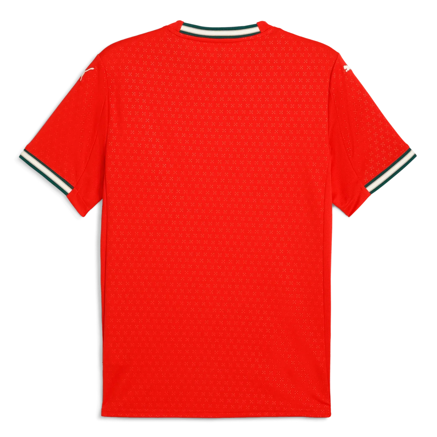 Portugal 2025 Home Jersey FV