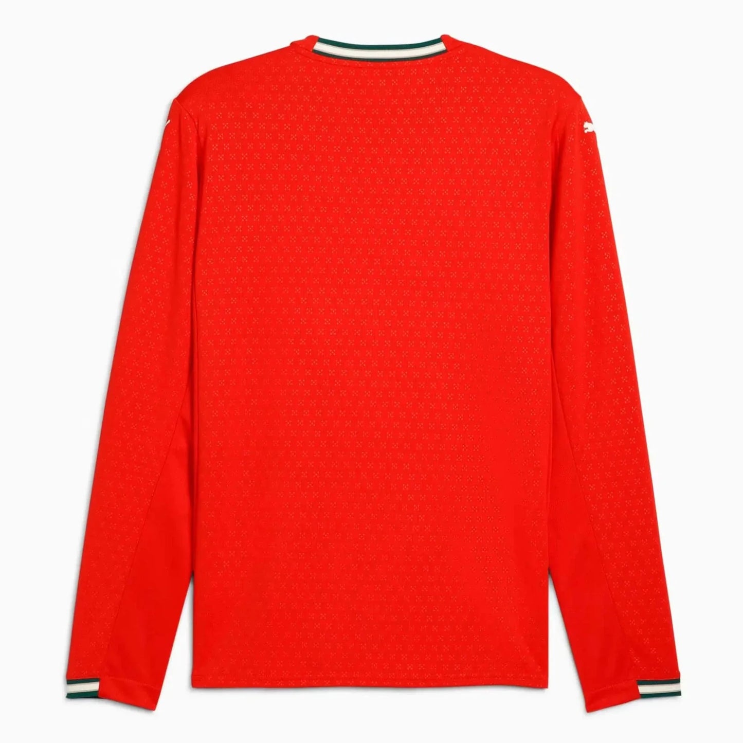 Portugal 2025 Home Long-Sleeve Jersey FV