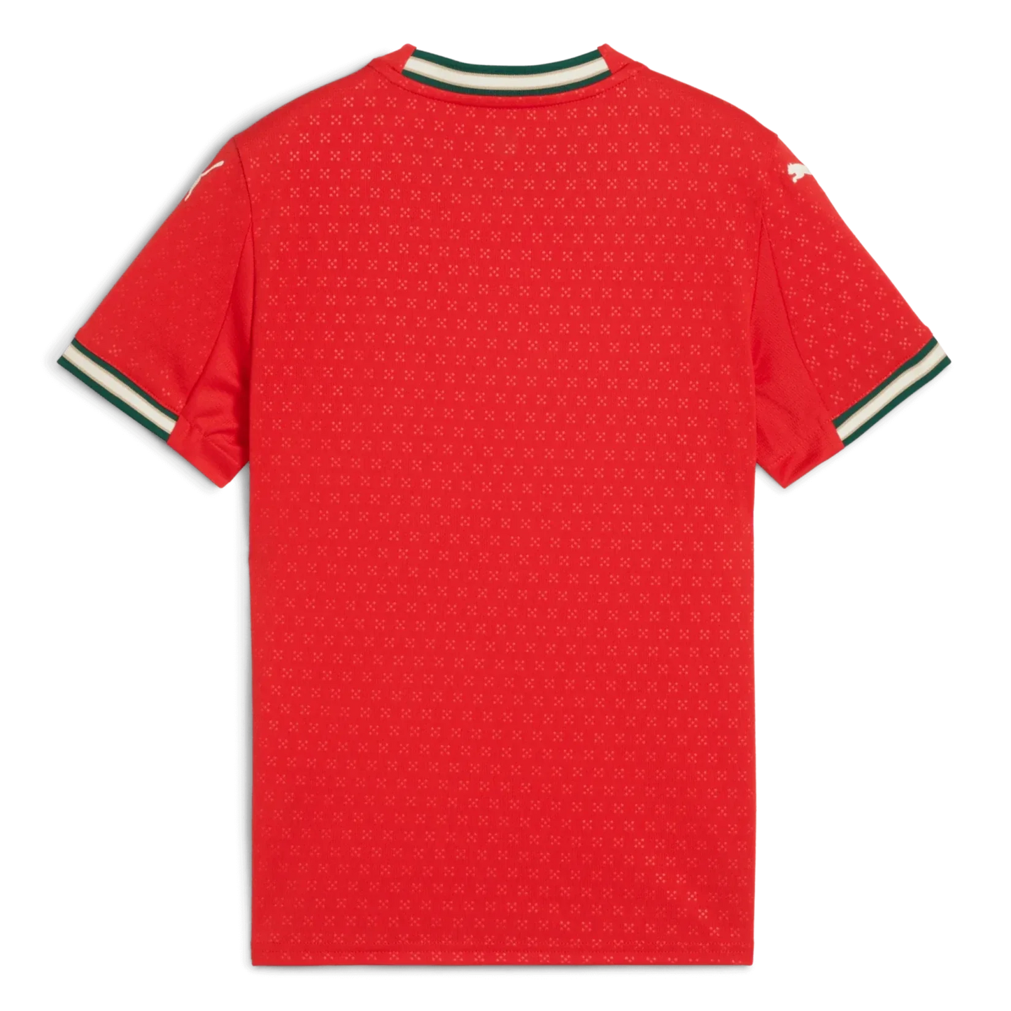 Kids Portugal Home Kit Jersey+Shorts 2025