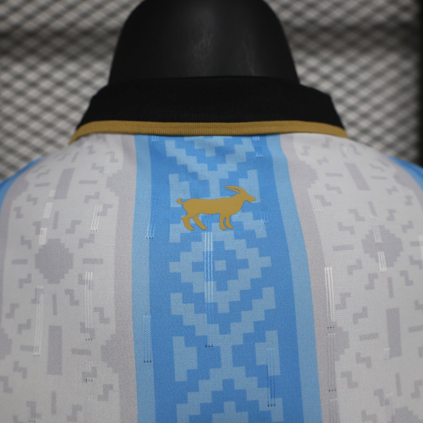 Argentina Messi COMMA Special Edition Authentic Jersey (HOME)