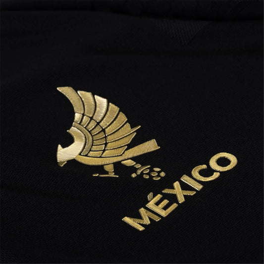 Mexico 2025 Special Edition Long Sleeve Authentic Third Jersey