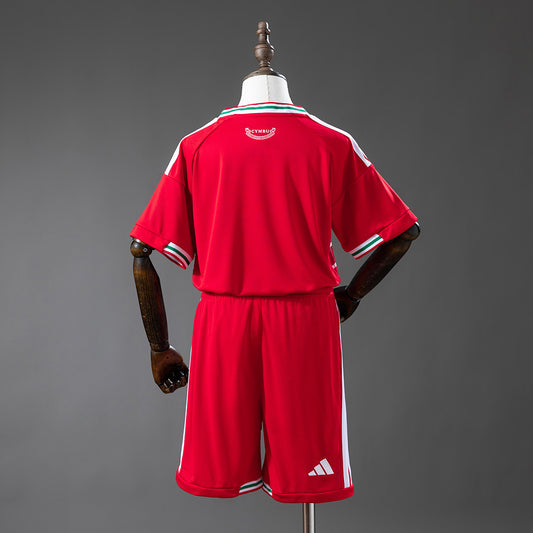 Wales 2026 Home Kit — Kids
