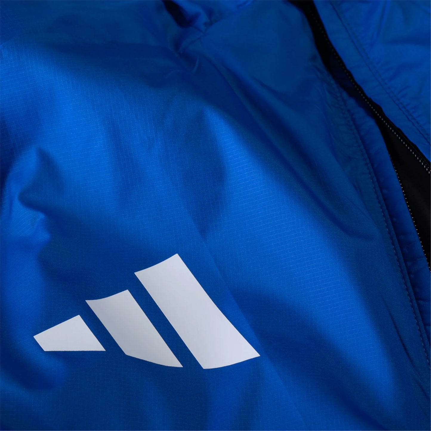 San Jose Earthquakes Anthem Jacket 25/26